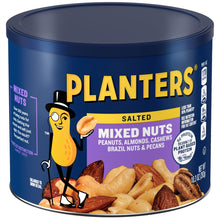 Salted Mixed Nuts, Party Snacks, Plant-Based Protein 10.3Oz (1 Canister) - Brands For Less USA