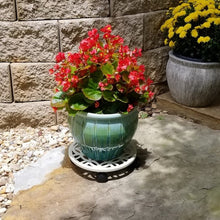 allen + roth 12-in L x 12-in D x 2.7-in H Off-white Plant Caddy