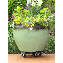 Bosmere 16-in L x 16-in D x 3.5-in H Black Plant Caddy