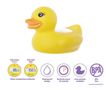 Termómetro Dreambaby para habitación y baño, paquete de 2.