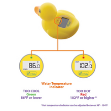 Termómetro Dreambaby para habitación y baño, paquete de 2.