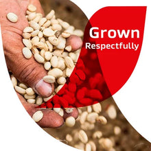 NescafŽ Clasico Instant Coffee (21 Oz., 2 Pk.)