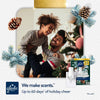 Glade PlugIns Scented Oil Air Freshener, Twinkling Pine & Cedar, 4.02 fl. oz., 2 Warmers + 6 Refills