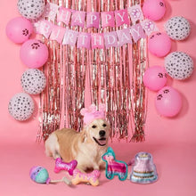 Happy Barkday Birthday Girl Box Dog Toy Bundle, 6-Piece Set (Pink)