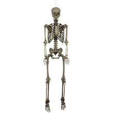 Berkley Jensen 5' Poseable Skeleton