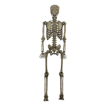 Berkley Jensen 5' Poseable Skeleton