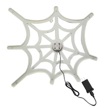 Berkley Jensen Hi Vibrant 16" Spider Web