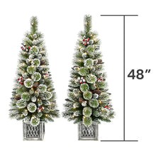Berkley Jenson 4' Pre-lit Flocked Potted Trees, 2 pk.