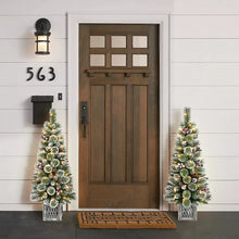 Berkley Jenson 4' Pre-lit Flocked Potted Trees, 2 pk.