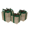 Berkley Jensen 3 Lighted Shine Boxes, Gold