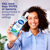 Dial Foaming Hand Wash Spring Water & Power Berries 4pk., 10oz.