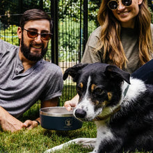 Lucky Dog Indulge 5, Double Wall 5 Cup Stainless Steel Dog Bowl, 2-pack