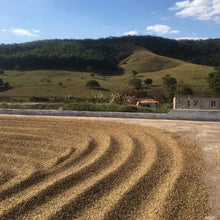 Member'S Mark Medium Roast Ground Coffee, Donut Shop, 40 Oz.