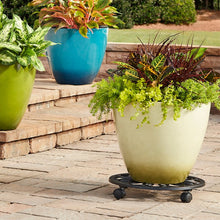 allen + roth 17-in L x 17-in D x 2.7-in H Black Plant Caddy