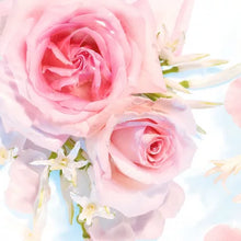 Olay Fresh Outlast Body Wash with Vitamin B3 Complex (23.6 Fl. Oz., 3 Pk.) - Brands For Less USA