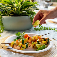 Chinet Classic White 10-3/8" Dinner Plates (165 Ct.) - Brands For Less USA