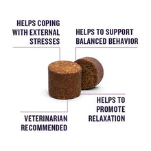 VETIQ Advanced Calming Soft Dog Chews, Hickory Smoke Flavored (60 Ct., 2 Pk.)