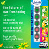 Febreze Car Air Freshener Vent Clips, Gain Original and Gain Island Fresh, 5 ct.