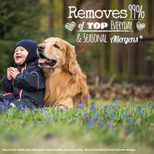 All Liquid Laundry Detergent Free Clear for Sensitive Skin (250 Oz.,166 Loads) - Brands For Less USA