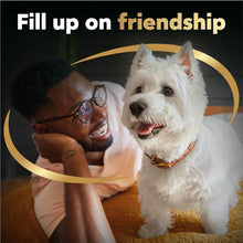 Cesar Canine Cuisine Paquete variado de comida húmeda para perros de 4 sabores, 48 unidades.