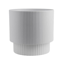 Costa Farms Cat Palm Houseplant in Decor Planter