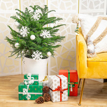 Costa Farms Norfolk Island Pine Decorated Christmas Tree, Houseplant in Decor Planter