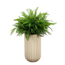 Faux 42” Fern in Planter