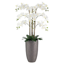 Faux 4’ Phalaenopsis Orchid