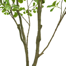 Faux 6.5' Ficus Tree