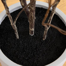 Faux 7’ Enkianthus Tree