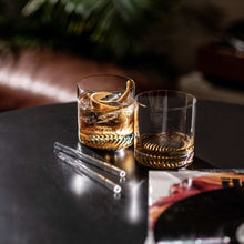 Fortessa Echo Tritan Double Old Fashioned Glasses 13.5 oz, Set of 4