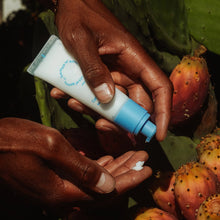 Kit de cuidado manual para el jardín de tomates Fountain of Waters