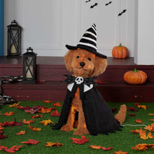 Haunted Living 2-ft Lighted Doodle Witch Dog Decoration