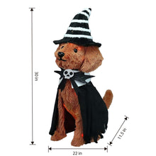 Haunted Living 2-ft Lighted Doodle Witch Dog Decoration