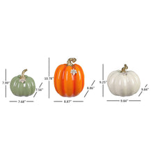 Member's Mark Decorative Pumpkins, Set of 3