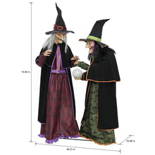 Member's Mark Pre-Lit Animated Crystal Ball Witches, Set of 2