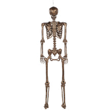 Member's Mark Talking Skeletons, Set of 2
