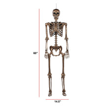 Member's Mark Talking Skeletons, Set of 2