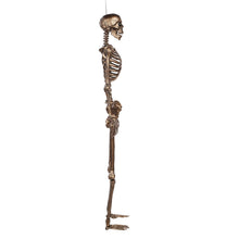 Member's Mark Talking Skeletons, Set of 2