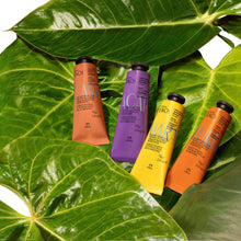 Set de crema de manos Natura Ekos, 77 ml