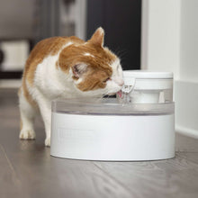 PetSafe Outlast 90 oz Cat Water Fountain, Bundle