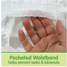 Pañales Member's Mark Premium para bebés (Tallas: Recién nacido - 7)