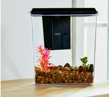 Acuario de plástico Aqua Culture de 1 galón con accesorios, negro, 25,7 cm de largo x 17,2 cm de ancho x 20,6 cm de alto