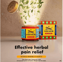 Marina Betta Ez Care 1 Gallon Plastic Betta Fish Tank Kit for Betta and Other Small Fish