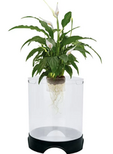 Penn-Plax Aqua-Ponic Betta Tank & Hydroponic Planter – Promotes a Healthy Environment for Plants and Fish – 1.4 Gallon