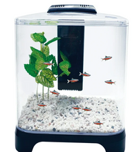 Penn-Plax NuWave Betta Fish Tank Kit – Black – Plastic – 1.5 Gallon