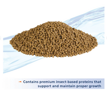 Aqueon Nutrinsect Alimento para peces sin pescado, gránulos para peces dorados de 50 g