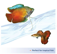 Aqueon Nutrinsect Alimento para peces sin pescado, hojuelas tropicales de 45 g