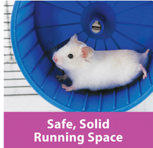 Rueda de ejercicio gigante Kaytee Comfort Wheel para chinchillas, ratas y otros animales pequeños, de plástico, 30 cm (12 pulgadas), azul