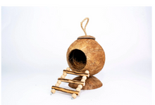 Penn-Plax Coconut Hut Habitat - Toy and Home for Hamsters - 3 Step Rope Ladder